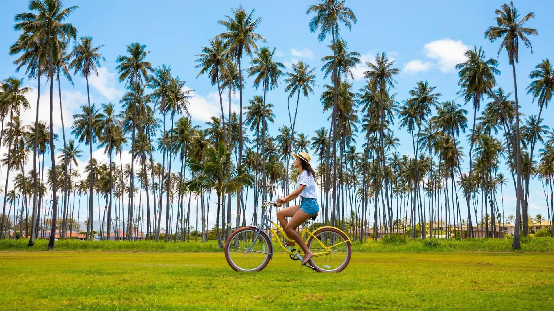 Sheraton Kauai Coconut Beach Resort United States
